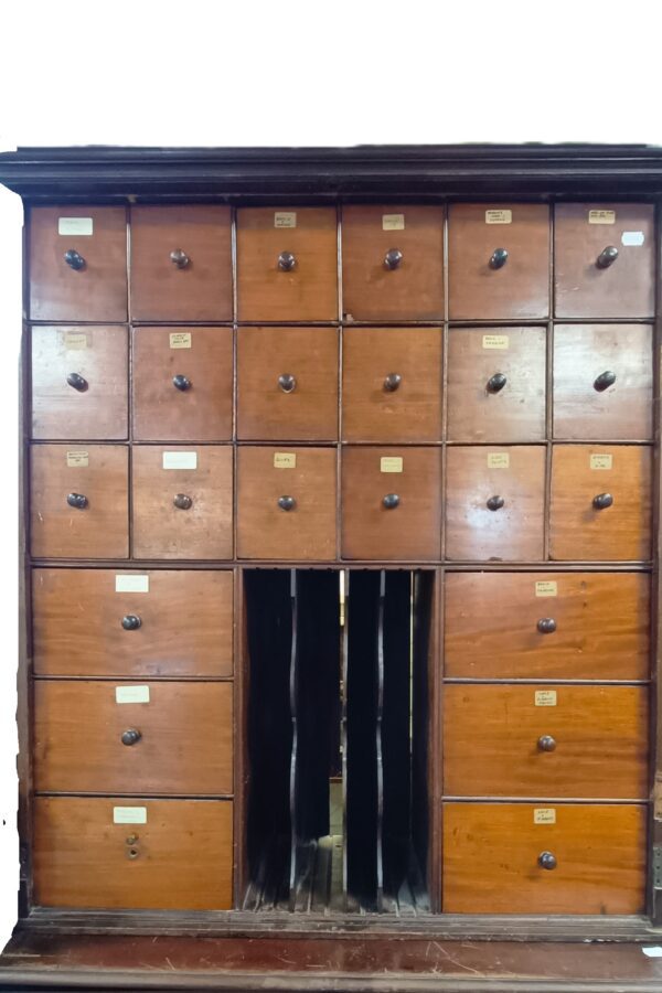 Victorian Mahogany Estate Cabinet