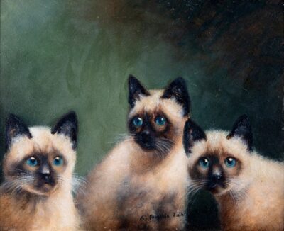 Agnes Augusta Talboys, three kittens, oil on board